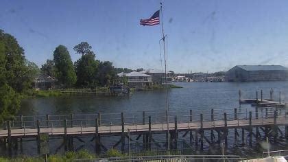 crystal river live cam|Webcams in Citrus County